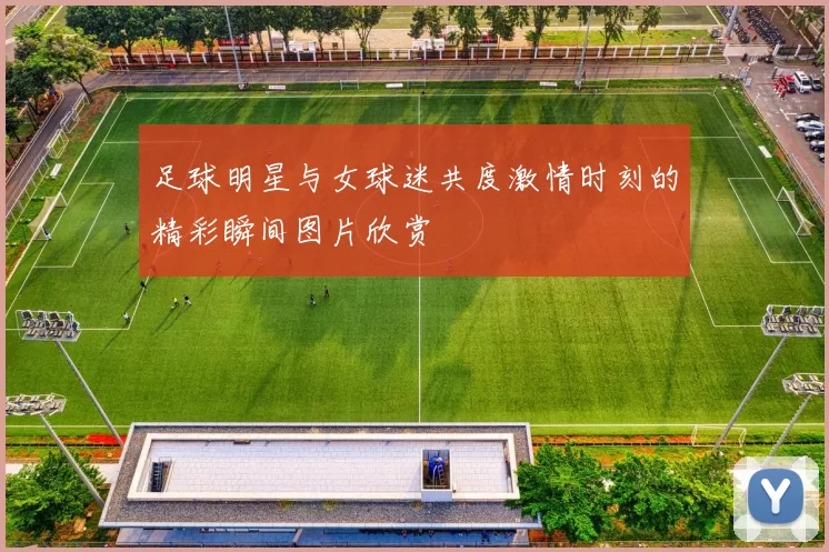 足球明星与女球迷共度激情时刻的精彩瞬间图片欣赏