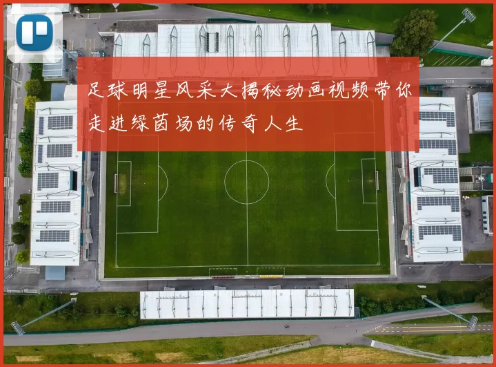足球明星风采大揭秘动画视频带你走进绿茵场的传奇人生