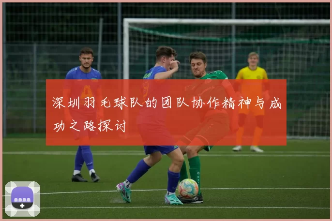 深圳羽毛球队的团队协作精神与成功之路探讨