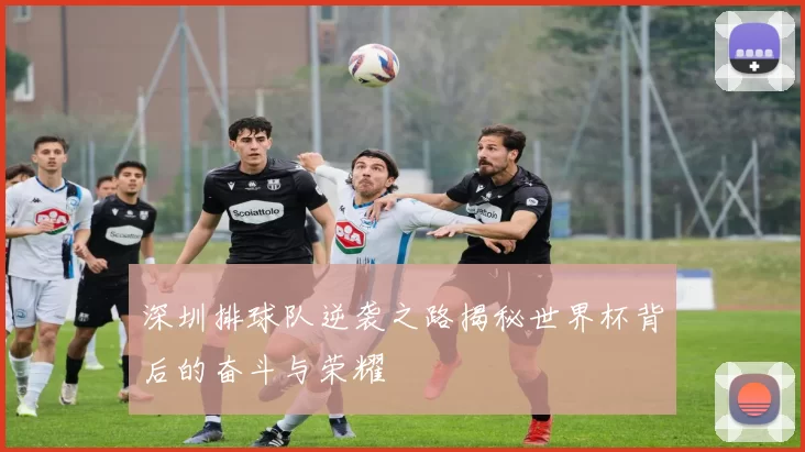 深圳排球队逆袭之路揭秘世界杯背后的奋斗与荣耀