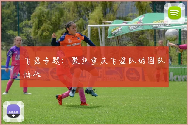 飞盘专题：聚焦重庆飞盘队的团队协作