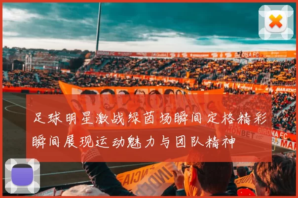 足球明星激战绿茵场瞬间定格精彩瞬间展现运动魅力与团队精神
